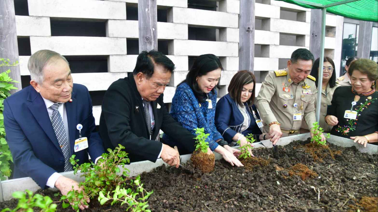 กมธ.พิทักษ์สถาบันฯ วุฒิสภา จัดพิธีมอบเมล็ดพันธุ์และต้นกล้าผัก ขับเคลื่อนรัฐสภาสีเขียวเฉลิมพระเกียรติฯ มุ่งเป้า Net Zero ภายในปี 2575 3